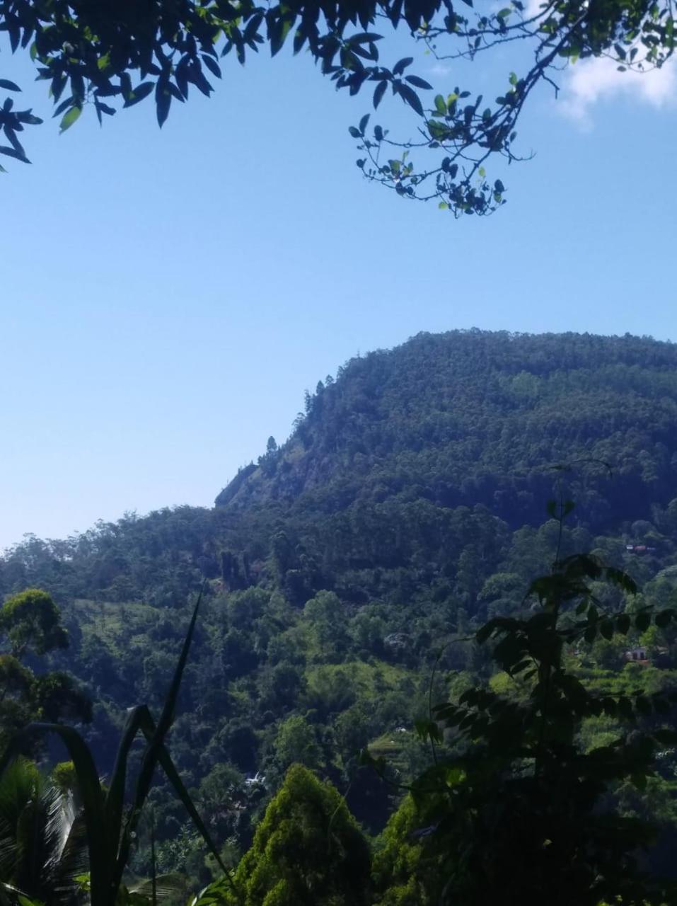 Himansa Homestay Ella Kültér fotó