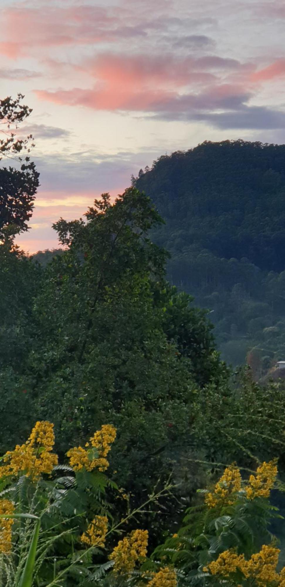Himansa Homestay Ella Kültér fotó