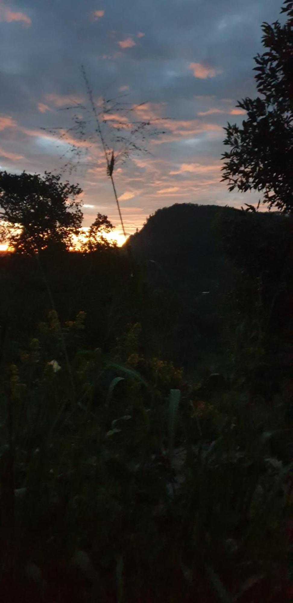 Himansa Homestay Ella Kültér fotó